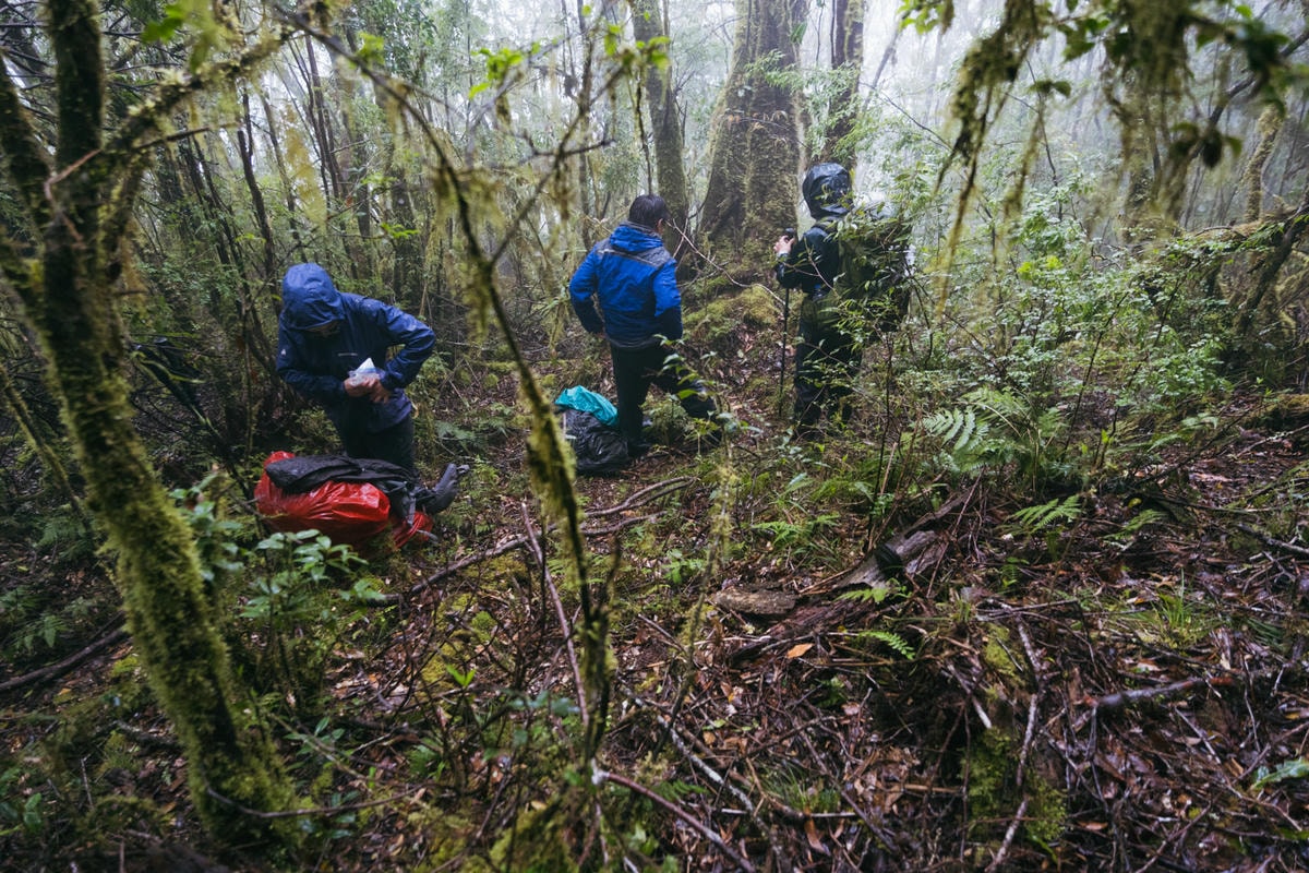 嵐山工作站|搭上迷霧中的時光列車(附Gpx) - 第72張圖 2025 dsc3914嵐山工作站