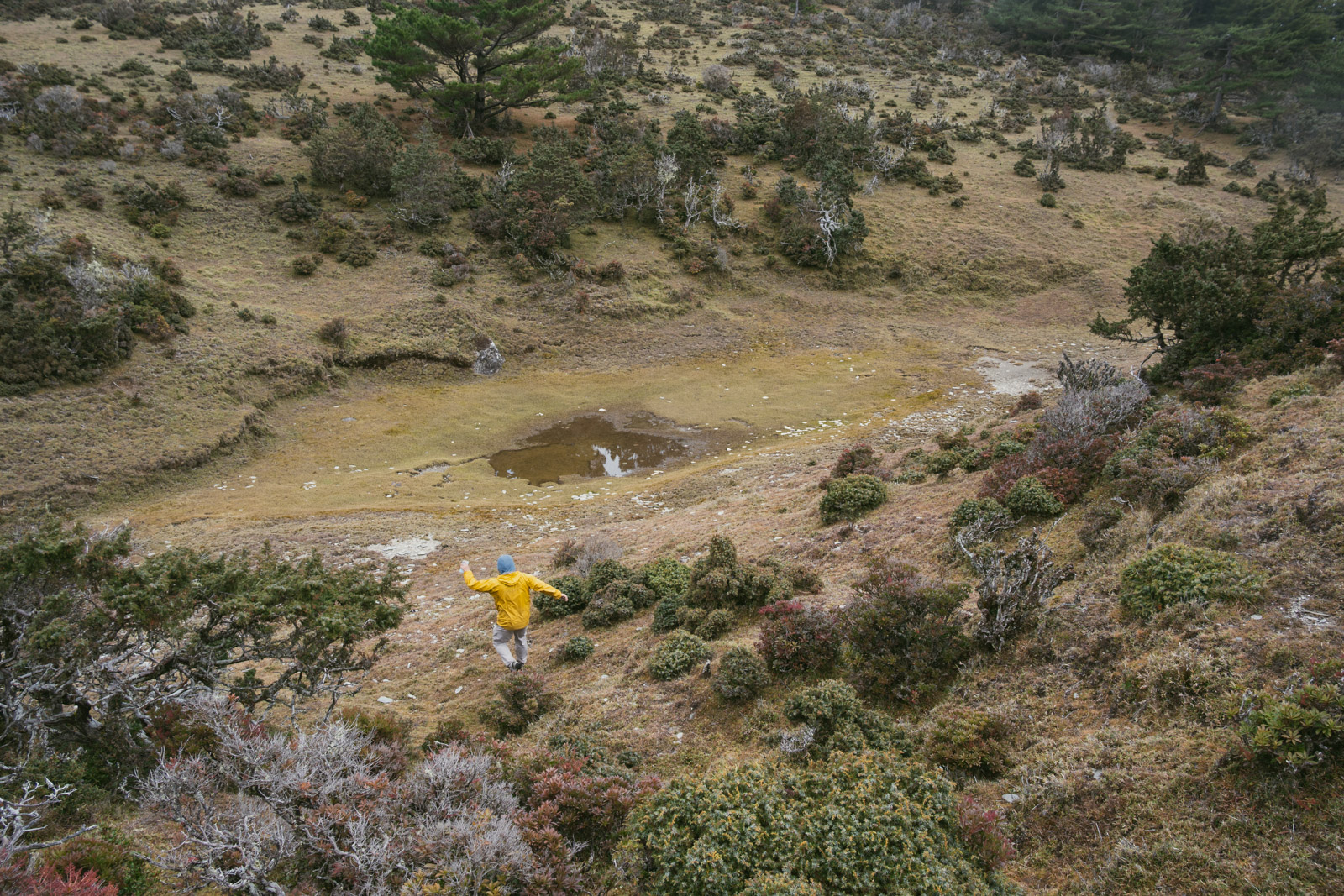 山影