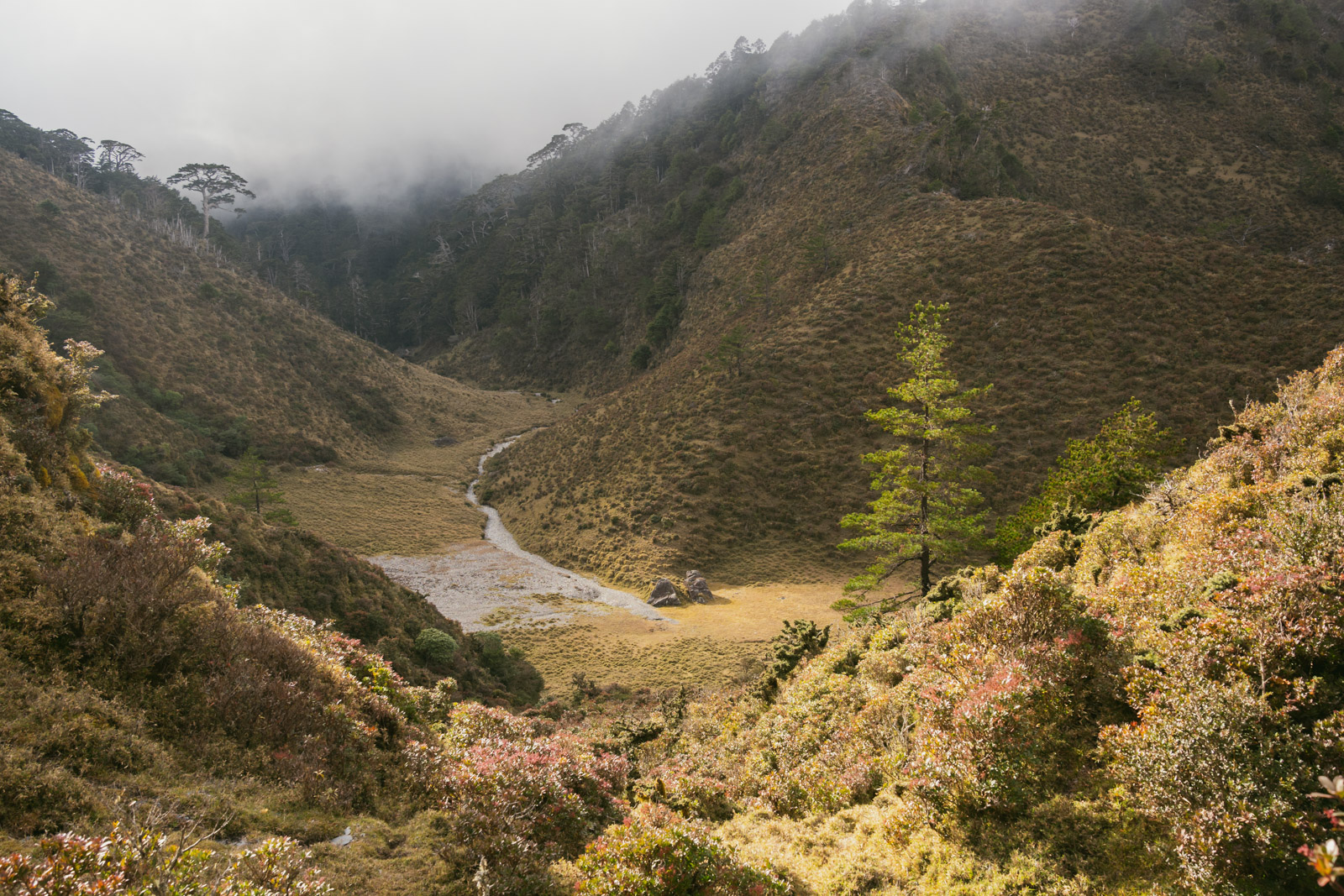 山影
